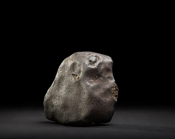 Murchison meteorit